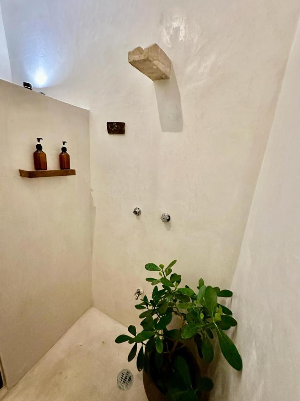 Casa Silice Guesthouse วัลลาโดลิด ภายนอก รูปภาพ